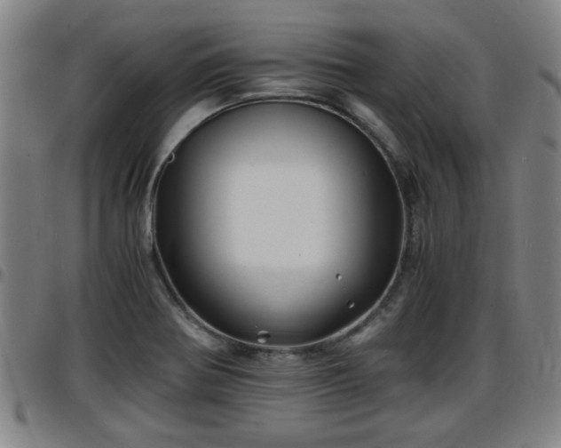 X0000096381370200801311250