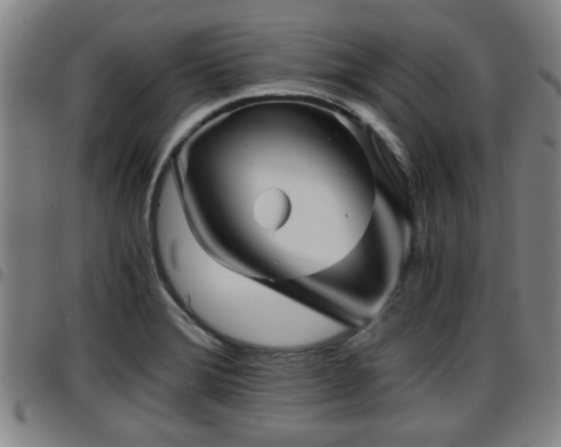 X0000096381372200801311250