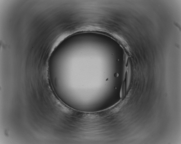 X0000096381374200801311250