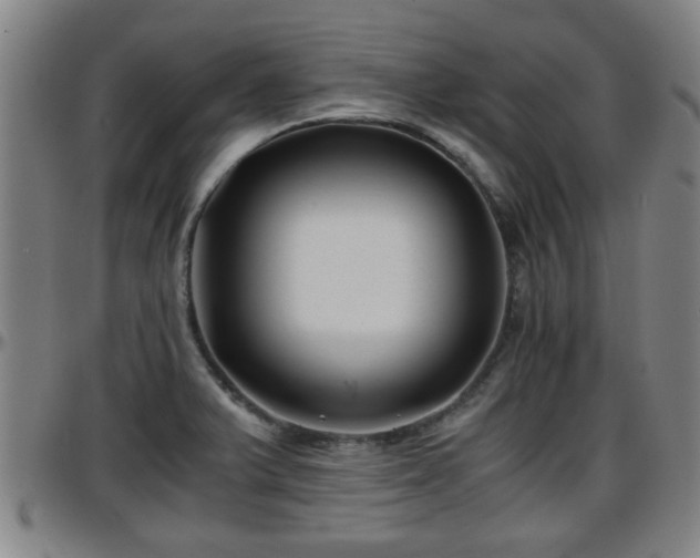 X0000096381375200801311250