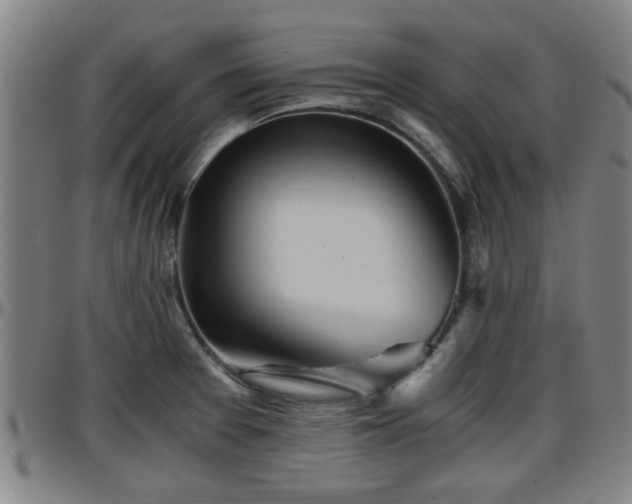 X0000096381377200801311250