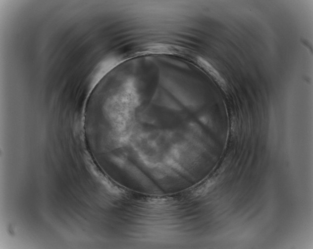 X0000096381378200801311250
