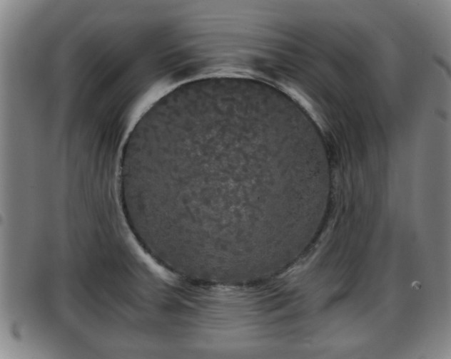 X0000096381379200801311250