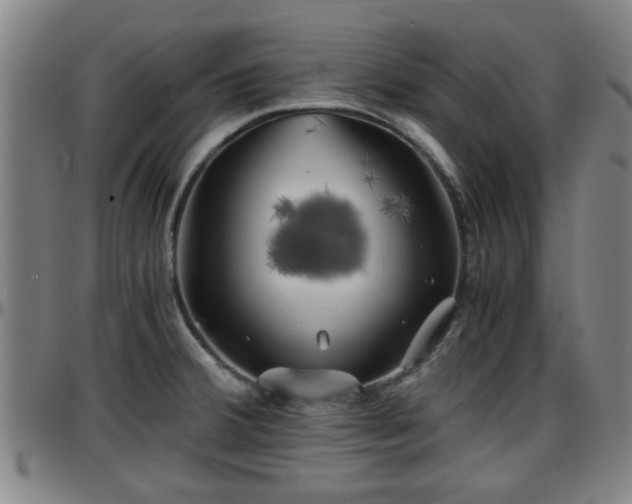 X0000096381380200801311250