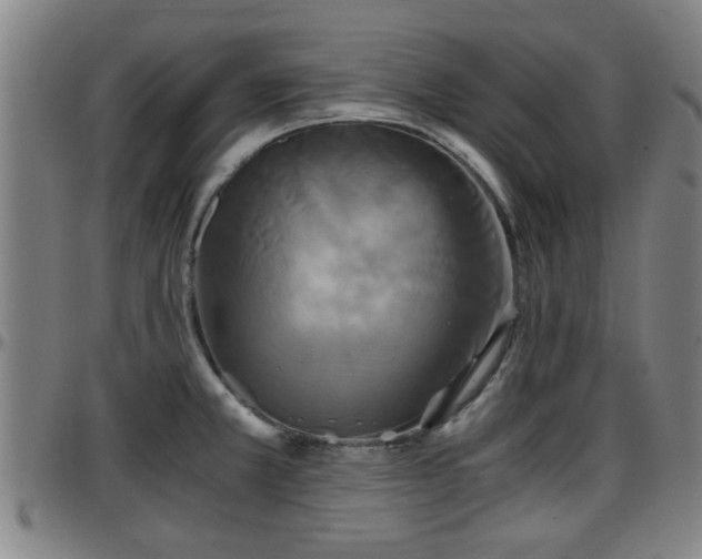 X0000096381381200801311250