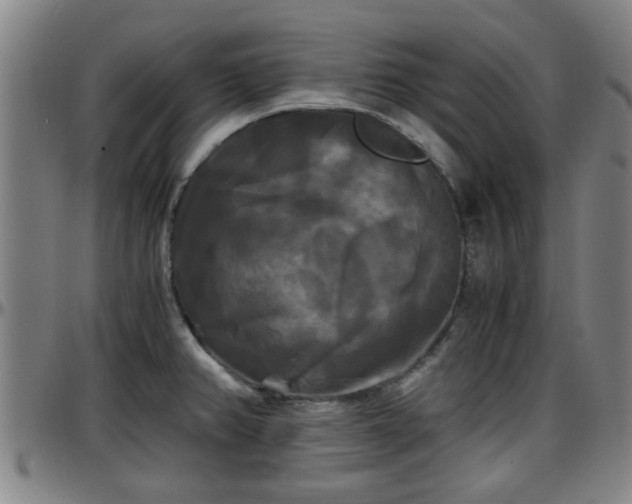 X0000096381382200801311250