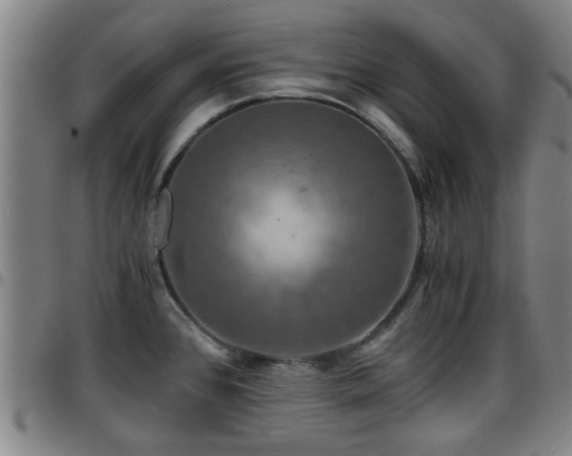 X0000096381384200801311250