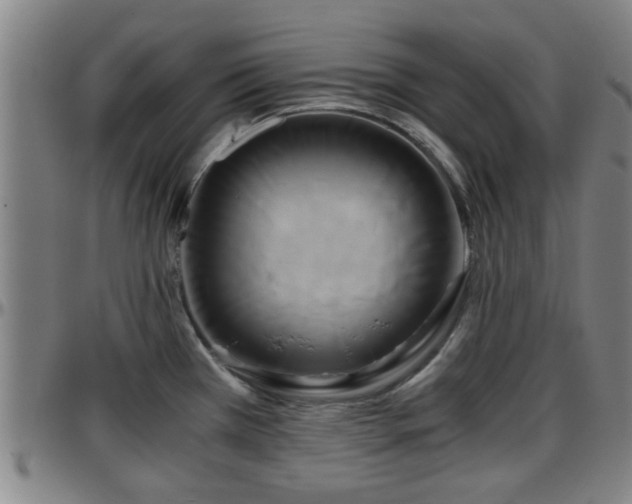 X0000096381385200801311250