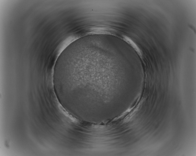 X0000096381386200801311250