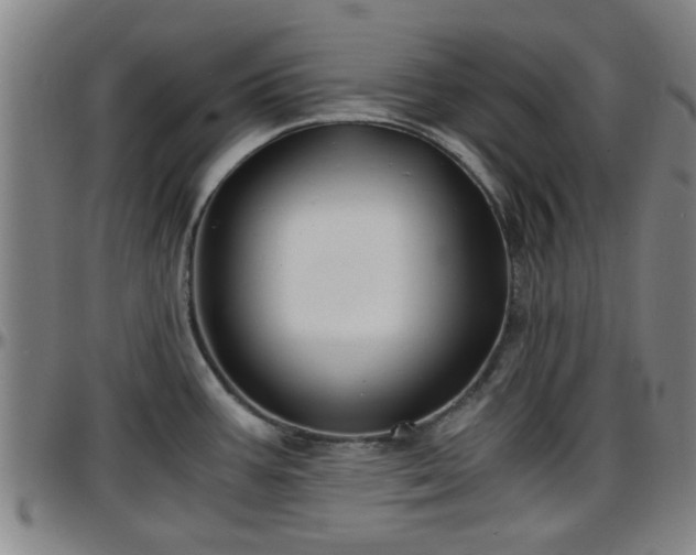 X0000096381387200801311250