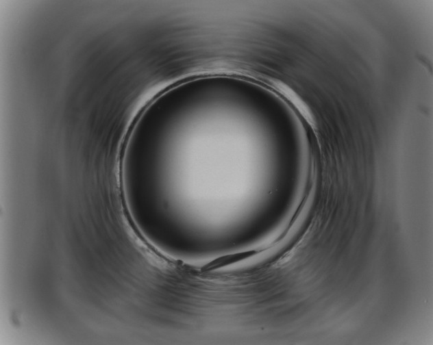 X0000096381388200801311250