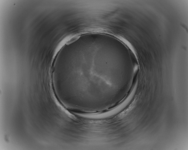 X0000096381389200801311250