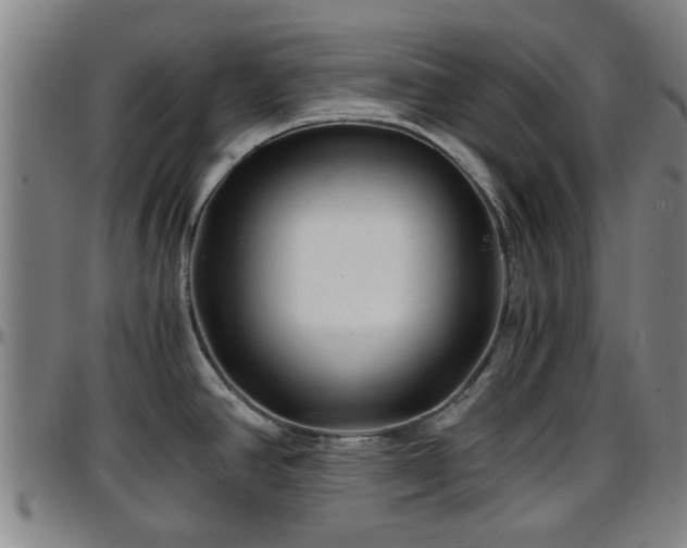 X0000096381390200801311250
