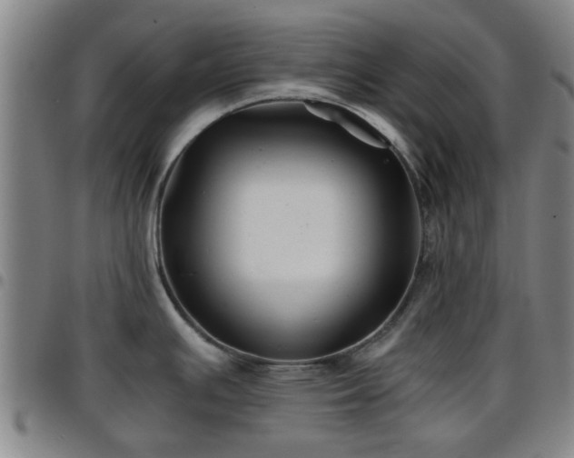 X0000096381391200801311250