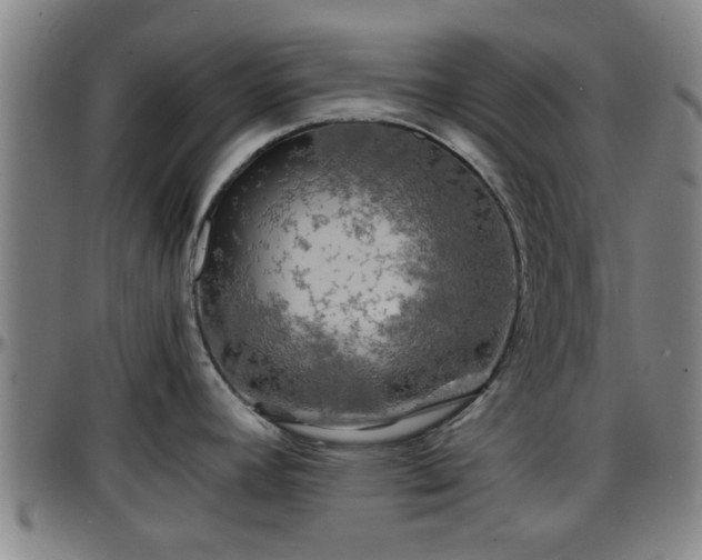 X0000096381392200801311250
