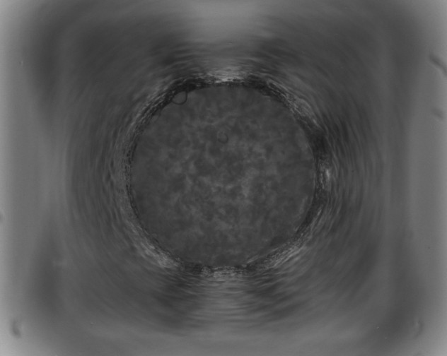 X0000096381393200801311249