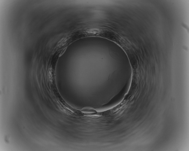 X0000096381394200801311249