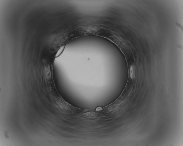X0000096381395200801311249