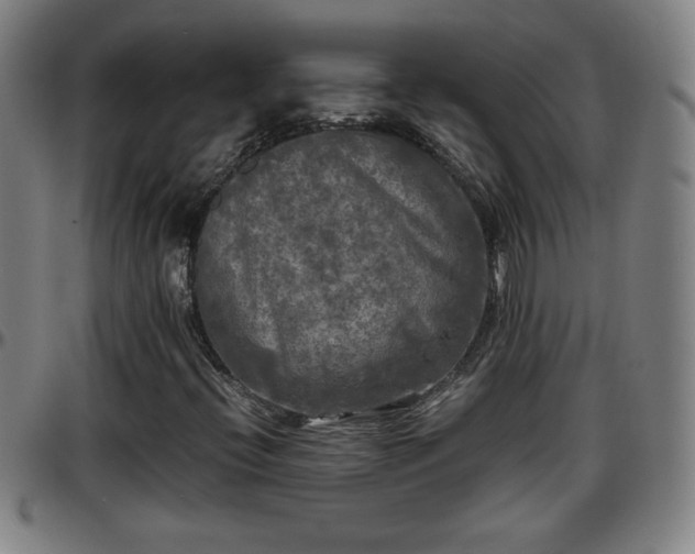X0000096381396200801311249