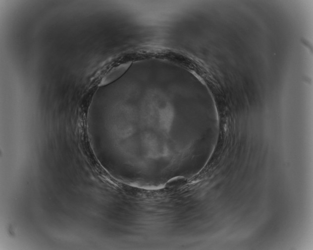 X0000096381397200801311249