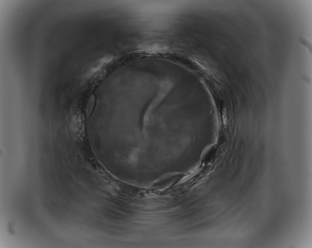 X0000096381398200801311249
