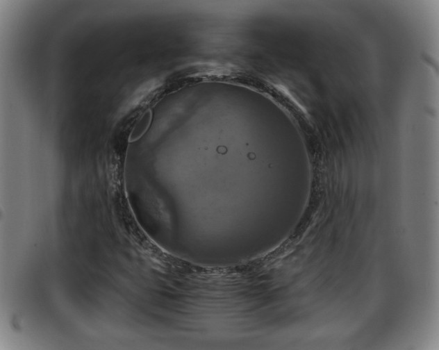 X0000096381399200801311249