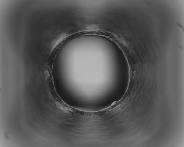X0000096381400200801311249