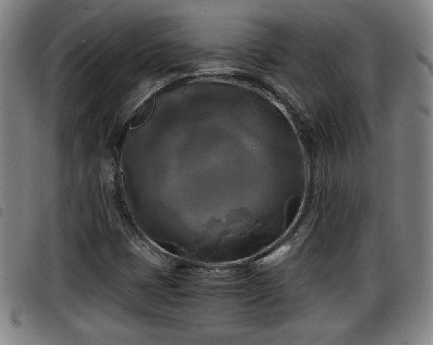 X0000096381401200801311249