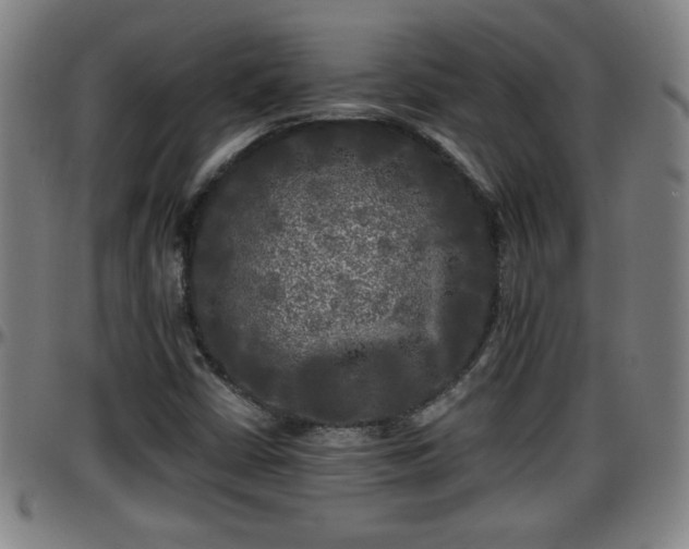 X0000096381402200801311249