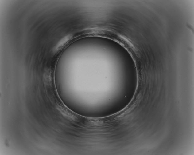 X0000096381403200801311249