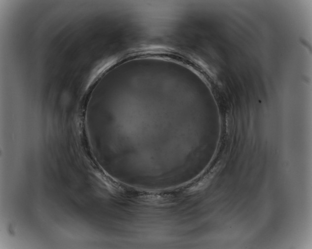 X0000096381405200801311249