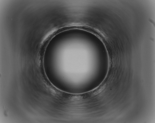X0000096381406200801311249