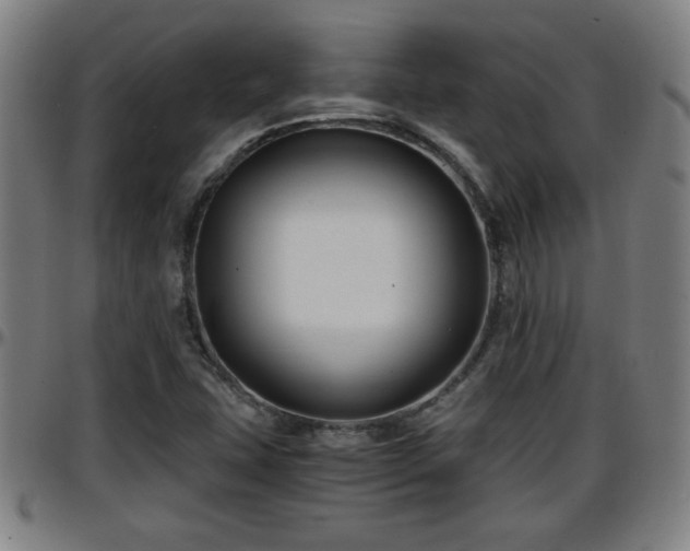 X0000096381407200801311249