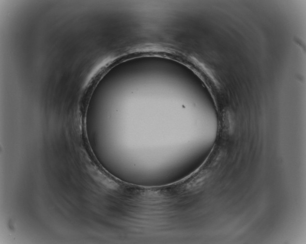 X0000096381408200801311249
