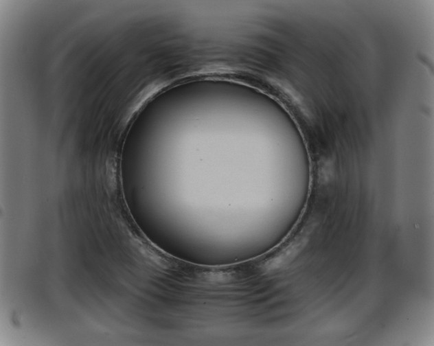 X0000096381409200801311249