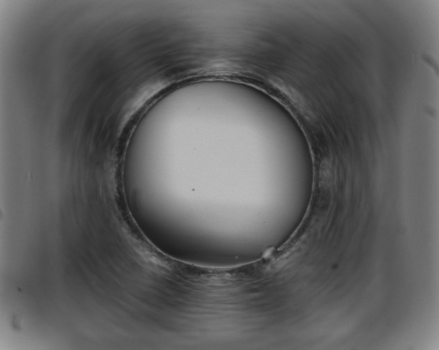 X0000096381410200801311249