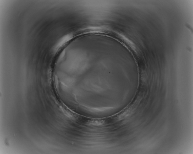 X0000096381411200801311249