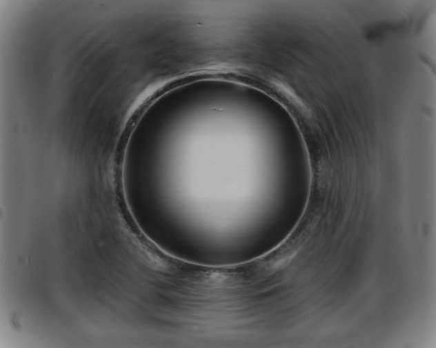 X0000096381412200801311249