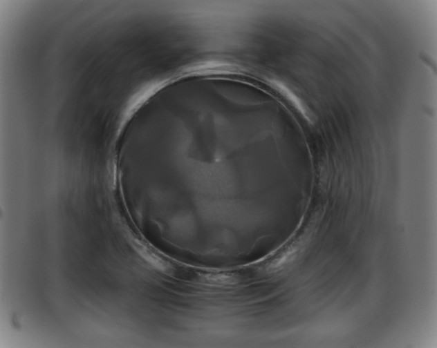 X0000096381413200801311249