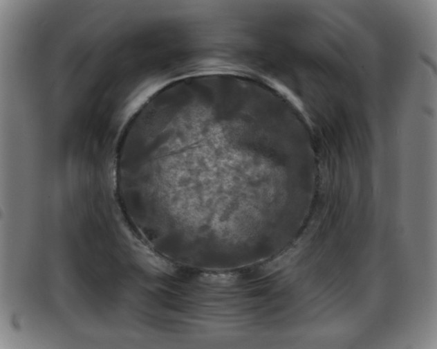 X0000096381415200801311249