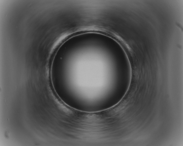 X0000096381416200801311249