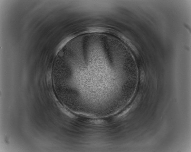 X0000096381417200801311249
