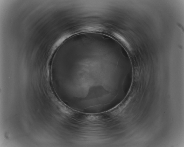 X0000096381419200801311249