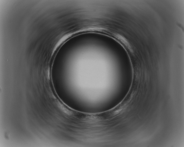 X0000096381420200801311249