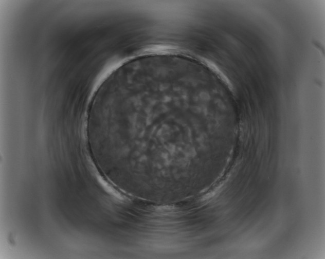 X0000096381421200801311249