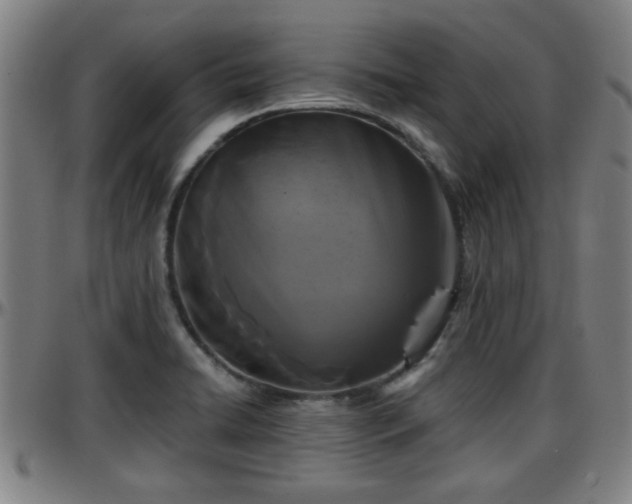X0000096381422200801311249