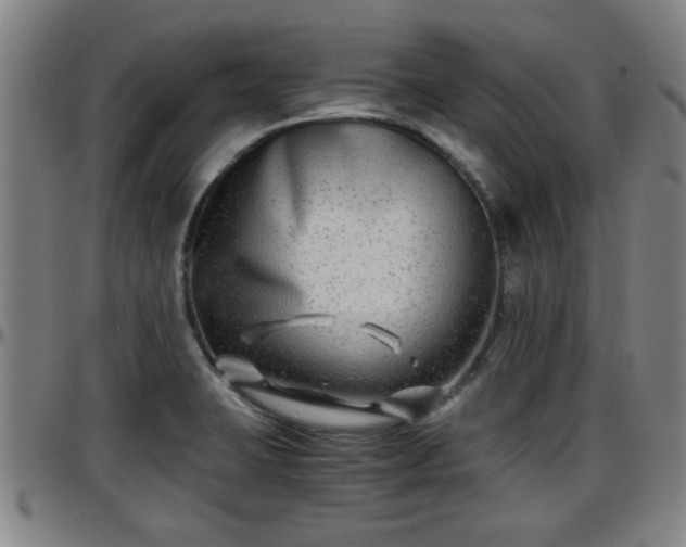 X0000096381423200801311249