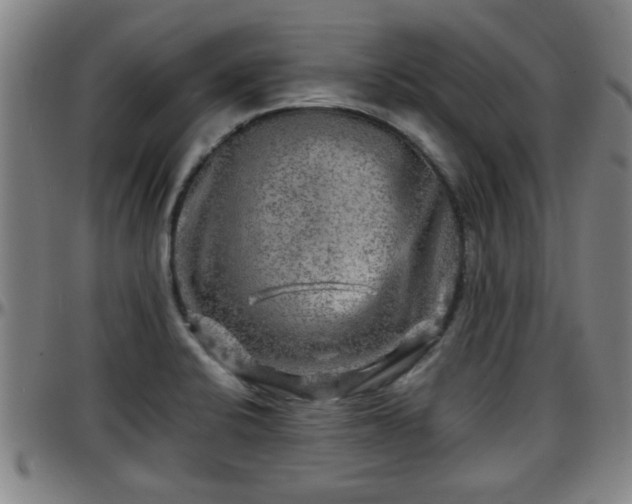 X0000096381424200801311249