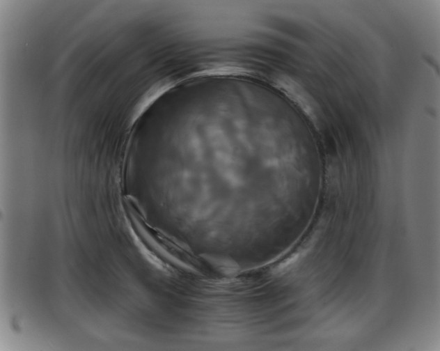X0000096381425200801311249