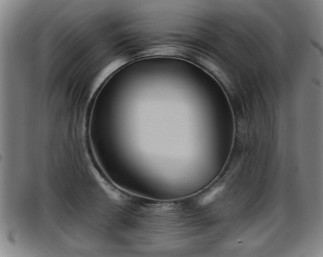 X0000096381426200801311249